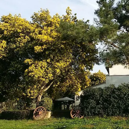 Agriturismo San Luigi